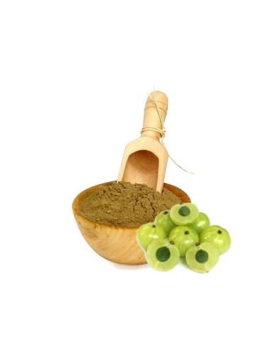Amla en poudre