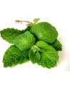 Menthe poivrée feuille en poudre