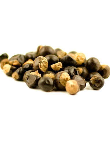 Guarana graines