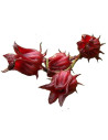 Fleurs d'hibiscus en poudre
