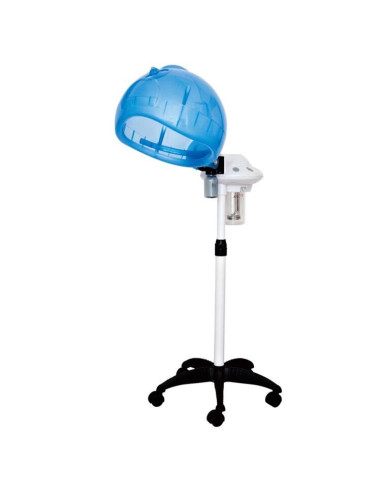 Hair steamer