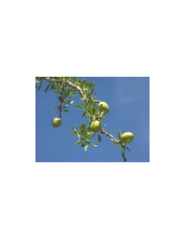 Huile d'argan vierge BIOLOGIQUE