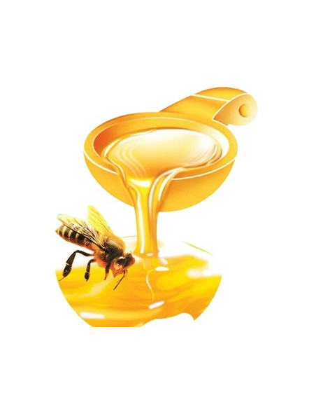 Miel en poudre