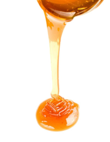 Lysolécithine