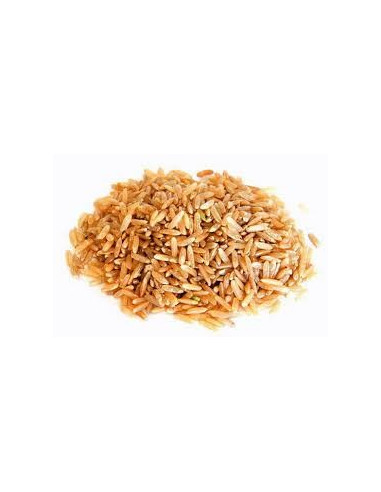 Proteine de riz hydrolysées