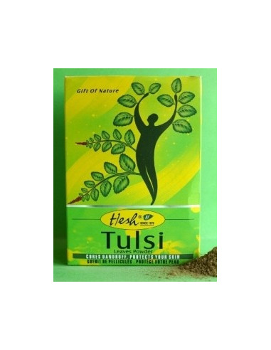 Tulsi en poudre