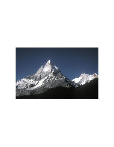 Sel rose de l'Himalaya : Guide complet d'utilisation