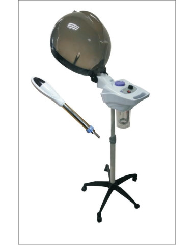 Hair steamer / Vapozone professionnel