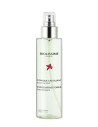 Lotion Exfoliante Unifiante Anti Taches