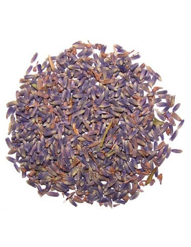 Lavande fleur super bleue 