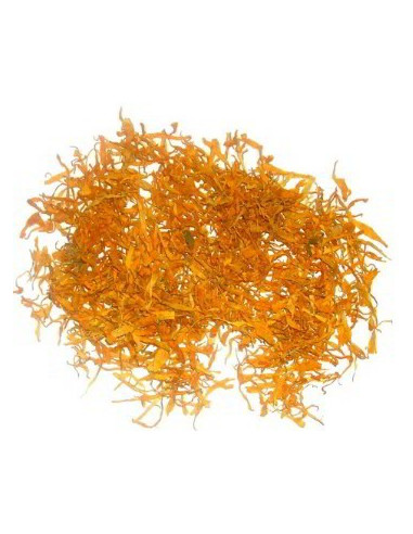Calendula