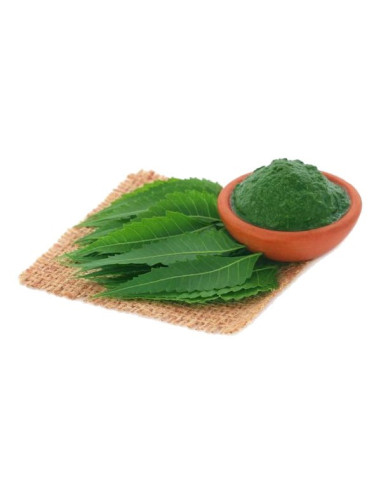 Poudre surfine de feuilles de neem