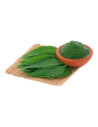 Poudre surfine de feuilles de neem