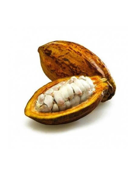 Beurre de cacao filtré BIO de qualité alimentaire
