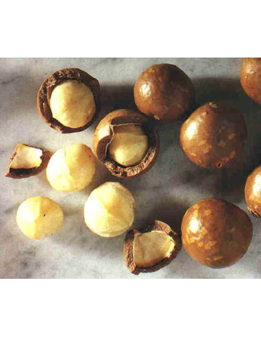 Huile de macadamia