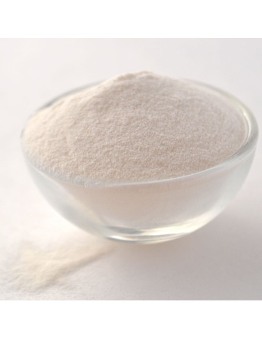 Gomme Xanthane transparente