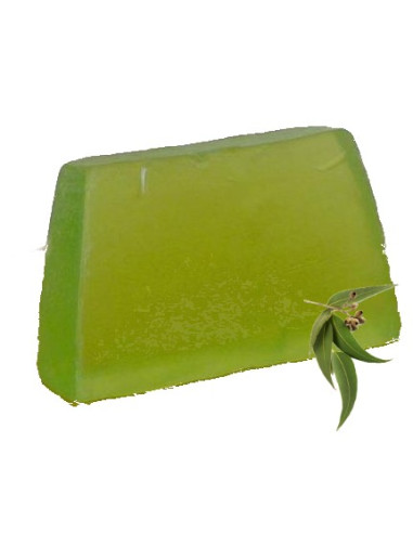 Shampoing solide Eucalyptus