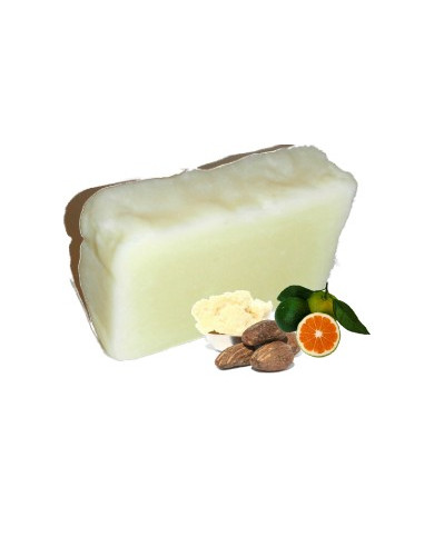Shampoing barre pour cheveux normaux