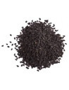 Graine de nigelle