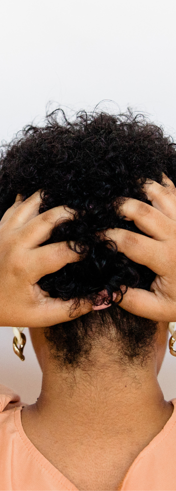 Hully Hair - 🛍☘️ Poudre ayurvédique de Kachur Sugandhi - 100g 🛍☘️ 🗓  Cette poudre est utilisée dans les préparations de soins capillaires pour  fortifier et embellir les cheveux et stimuler leur